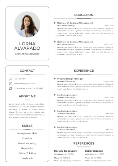 Professional CV Sample 52
